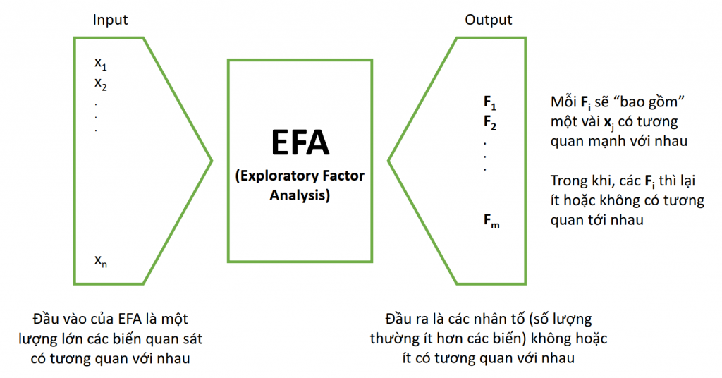 Phân tích nhân tố khám phá EFA là gì? phan tich nhan to efa