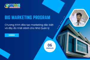 big-marketing-program