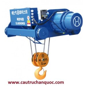 Cầu Trục Hàn Quốc